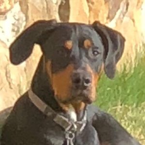 Meet your Posher, Jessica